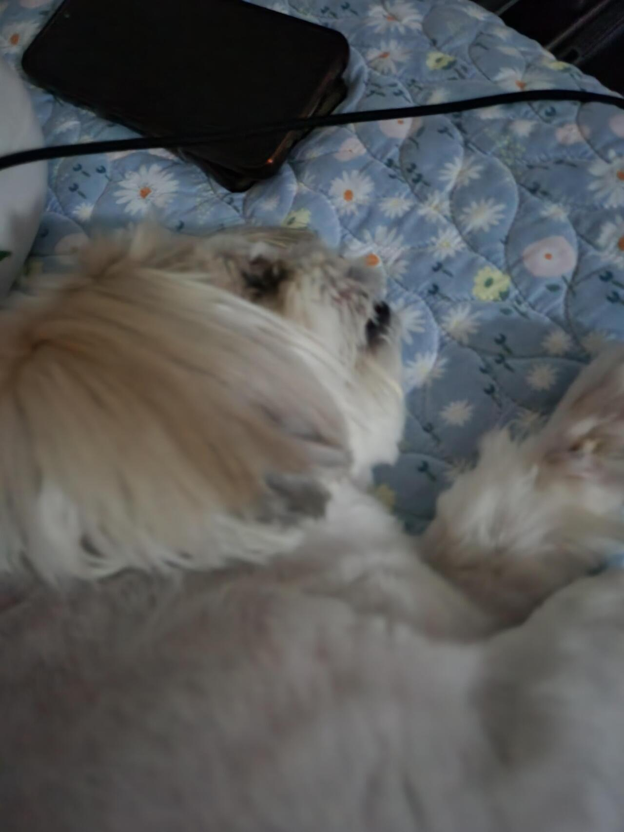 파일:군대 잡썰 1-20.png