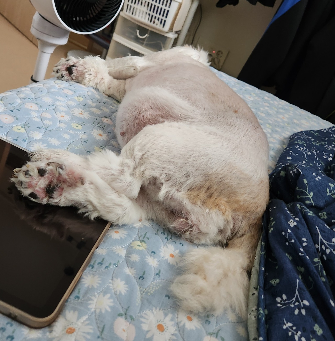 파일:군대 잡썰 1-22.png